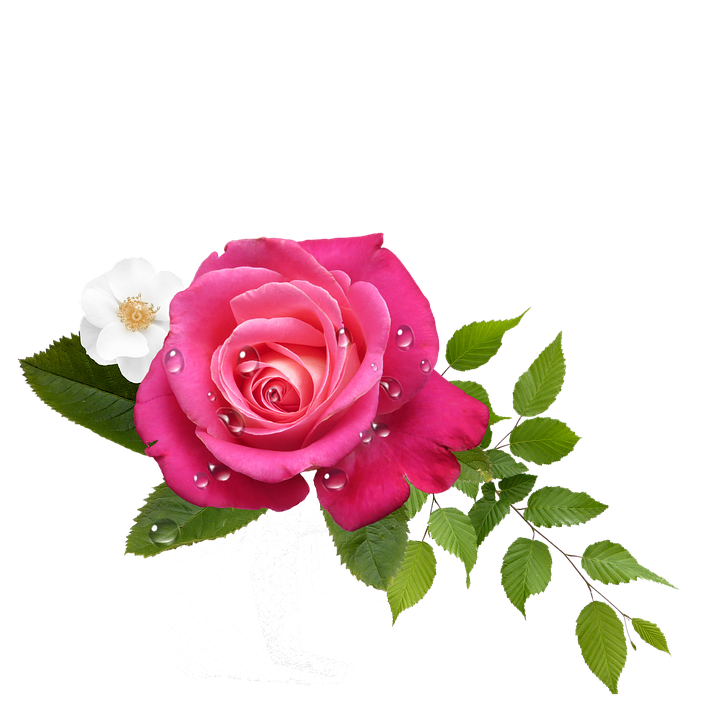 Pink Roseand White Flower Arrangement