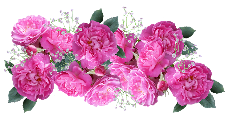 Pink Roses Bouquet Transparent Background