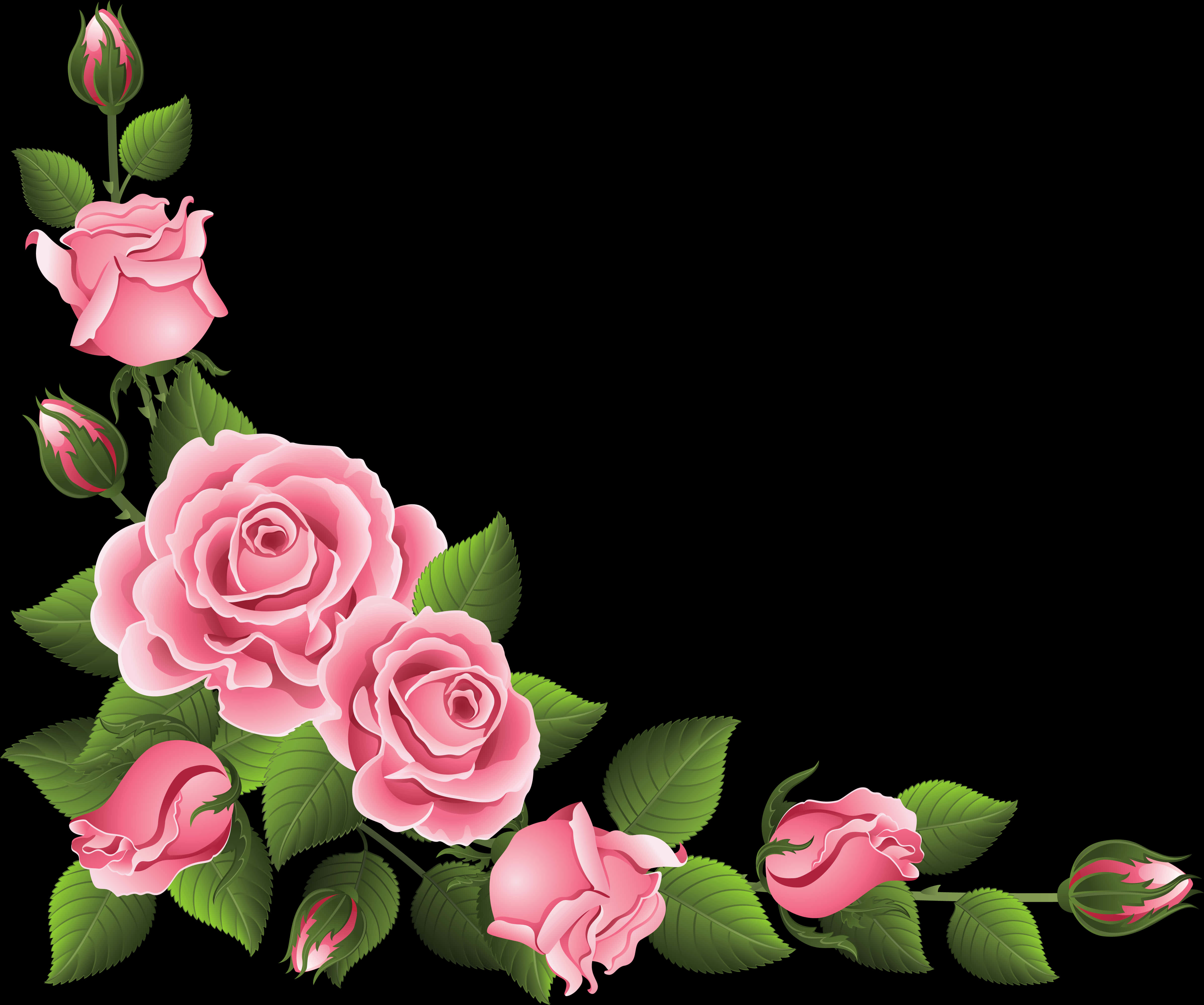 Pink Roses Floral Border Design
