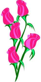 Pink Roses Vector Art