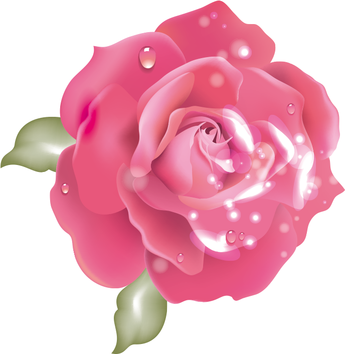 Pink Rosewith Dew Drops.png