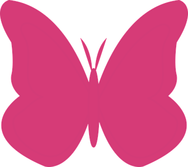 Pink Silhouette Butterfly