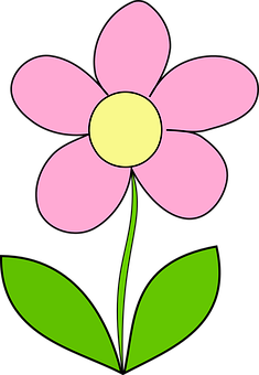 Pink Simple Flower Illustration