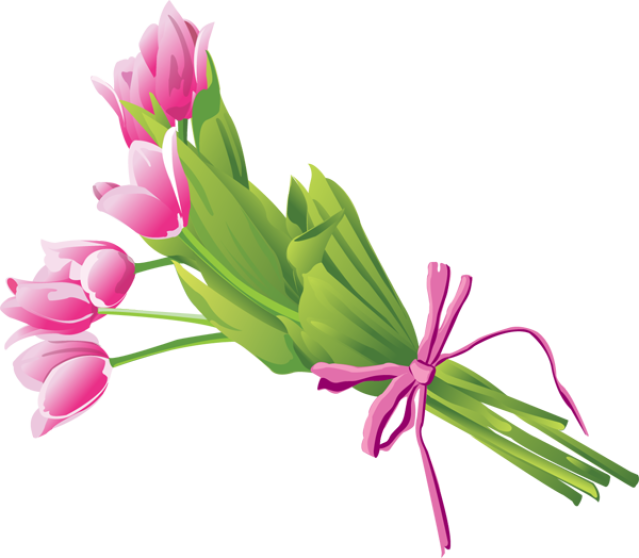 Pink Tulip Bouquet Illustration