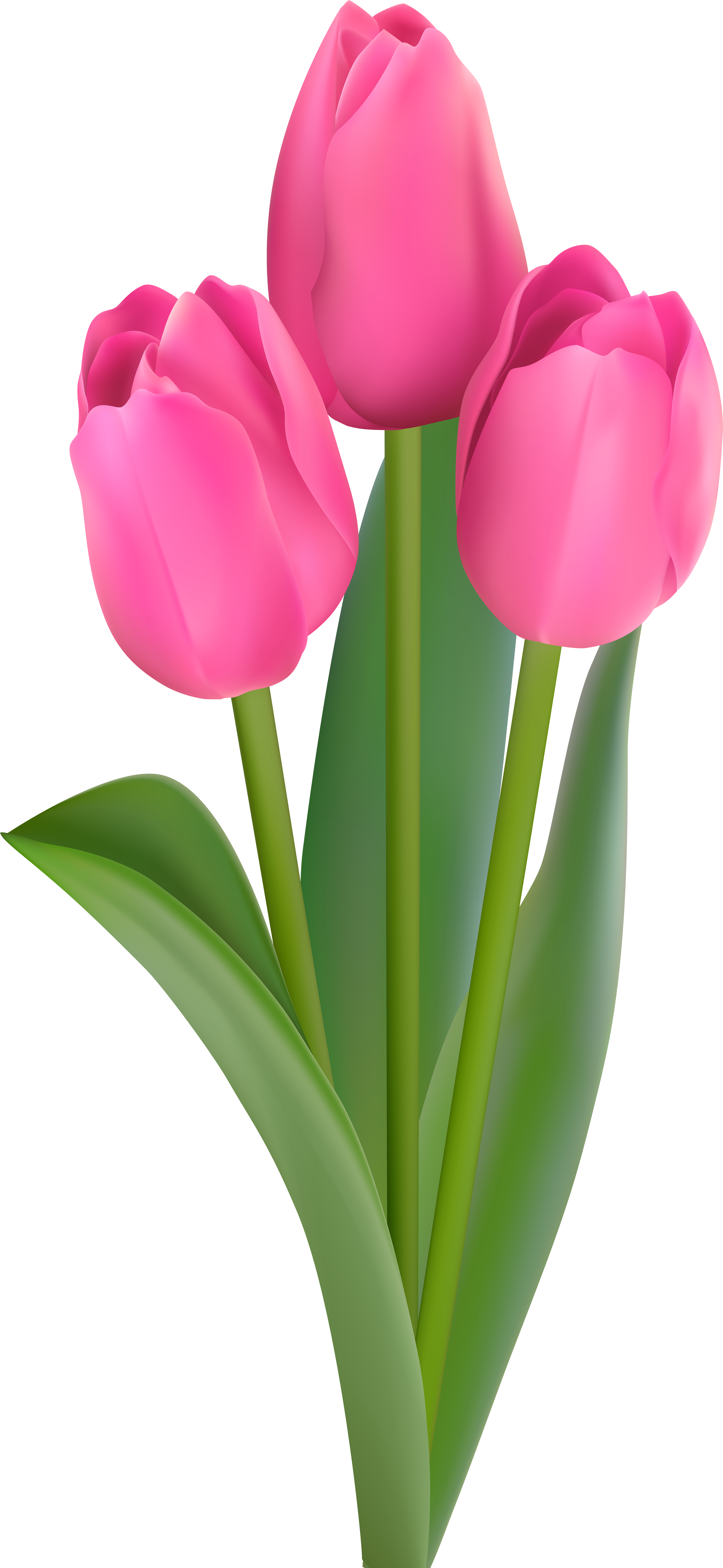 Pink Tulips Bouquet