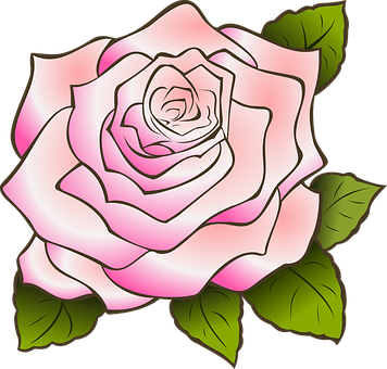 Pink Vector Rose Illustration