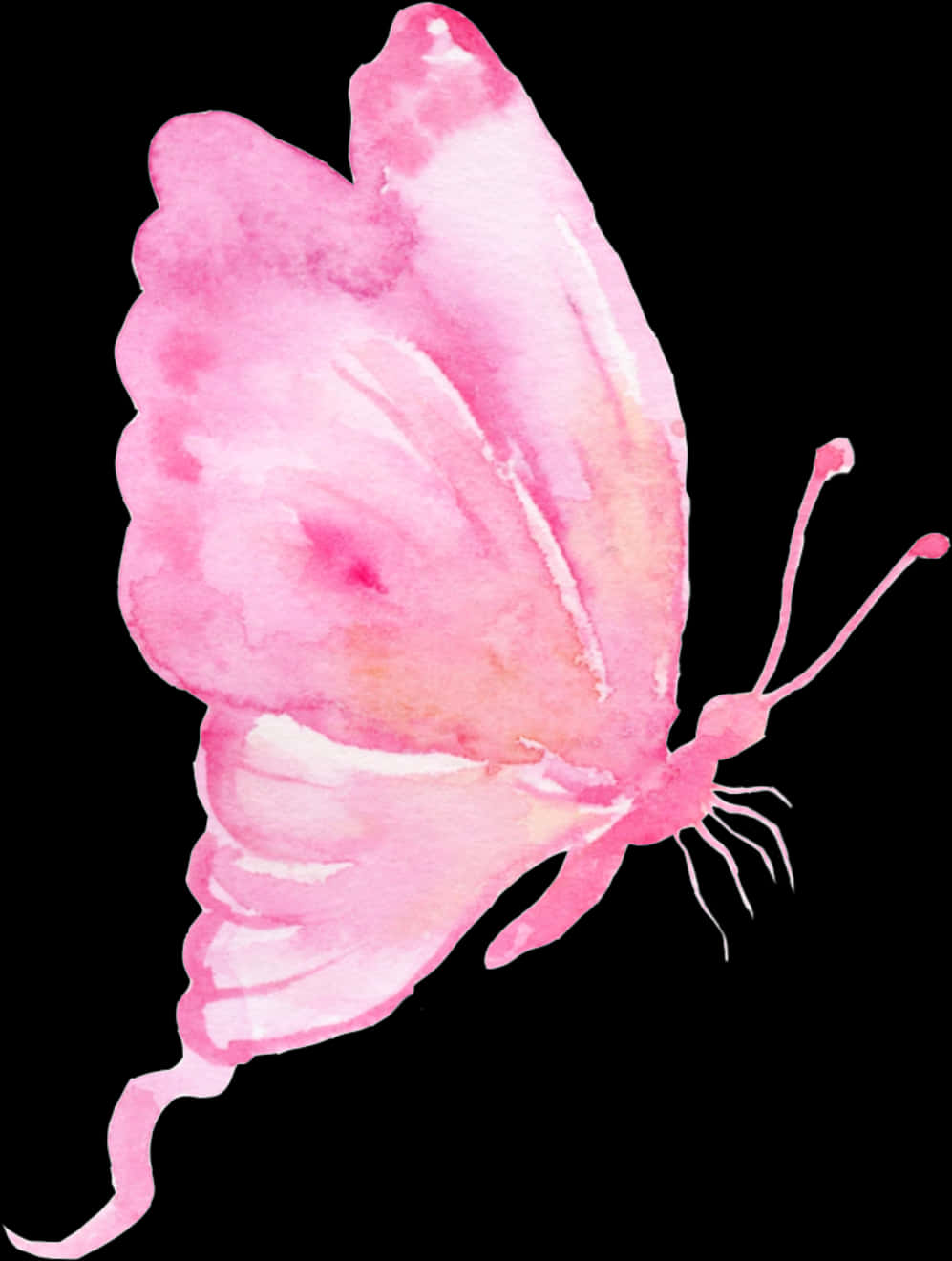 Pink Watercolor Butterfly Art