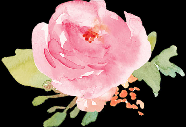 Pink Watercolor Flower Illustration