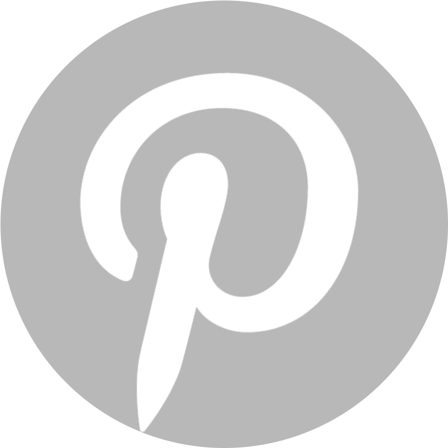 Pinterest Logo Icon