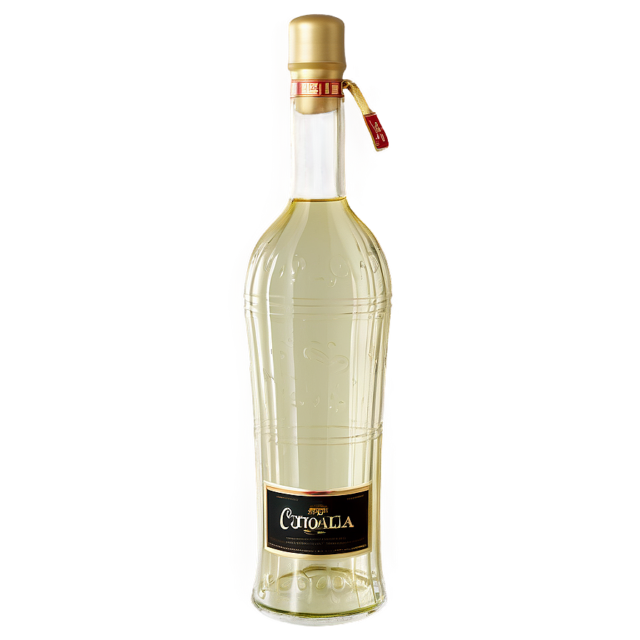 Pisco Bottle Png 59