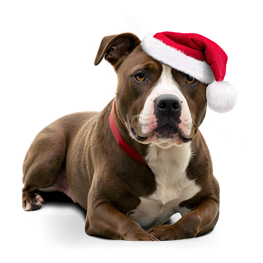 Pitbull Christmas Png 05212024