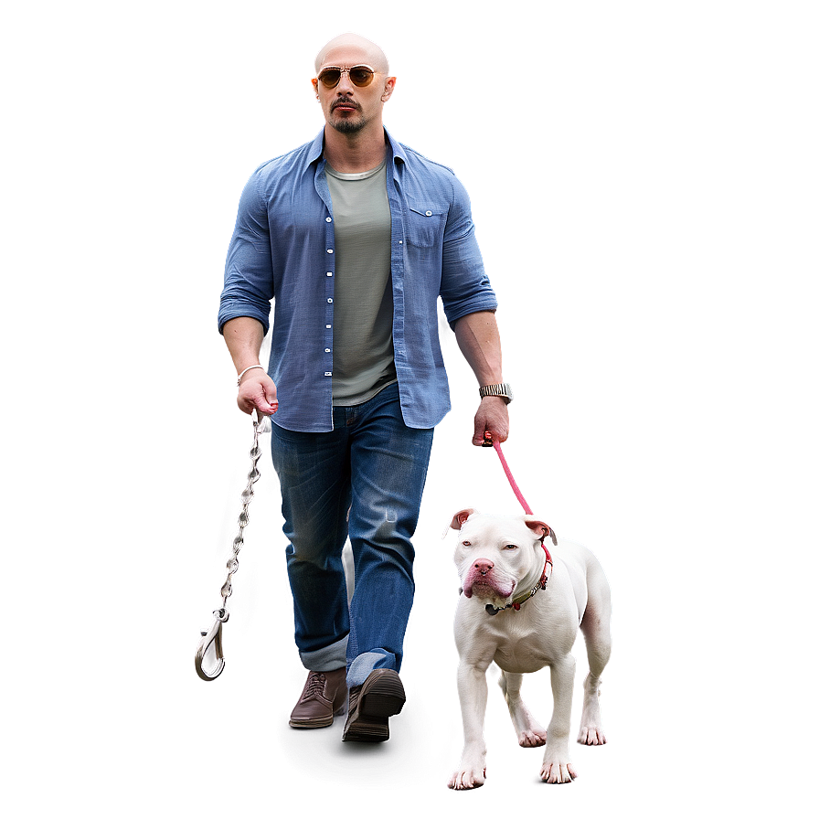 Pitbull Leash Walk Png 70