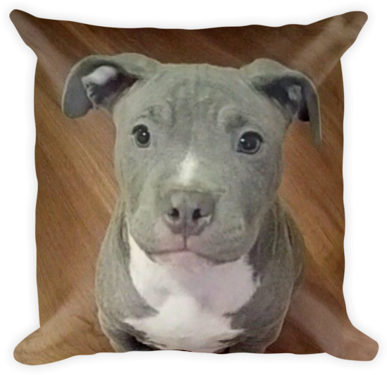 Pitbull Puppy Cushion Portrait