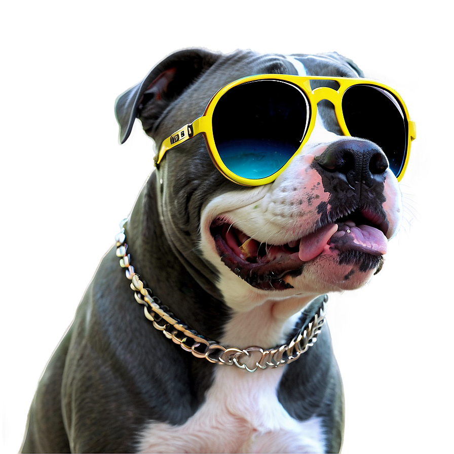 Pitbull With Sunglasses Png 05212024