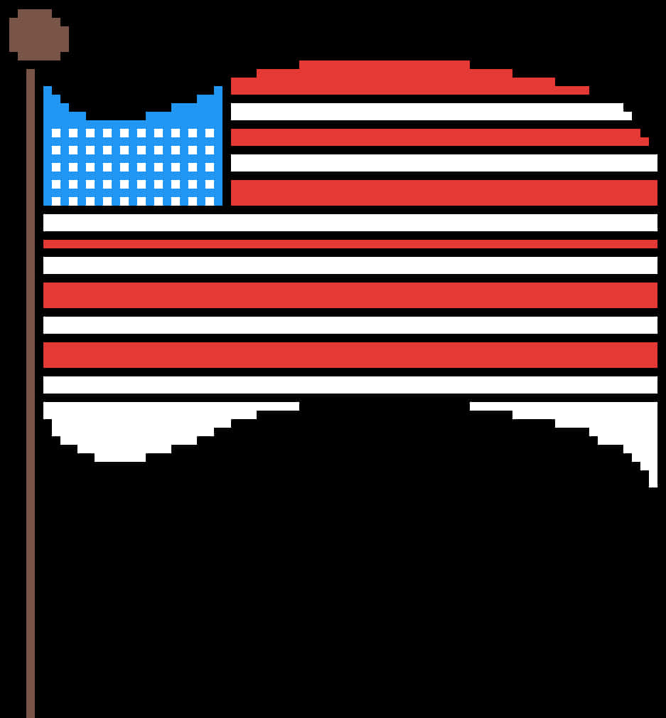 Pixelated U S A Flag