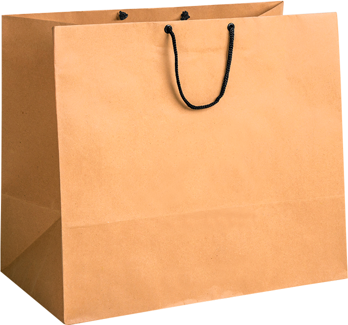 Plain Brown Paper Shopping Bag