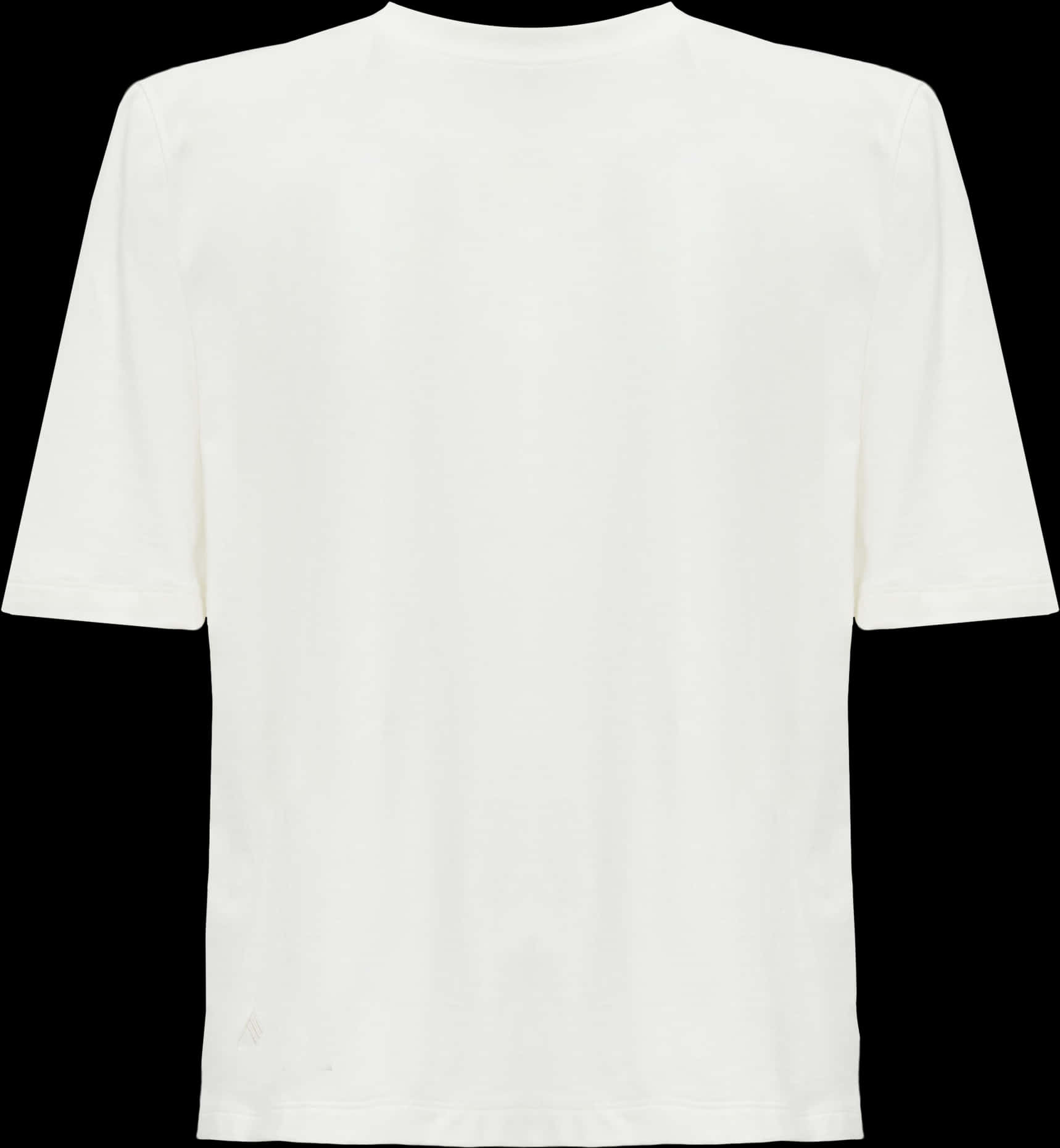Plain White T Shirt Front View
