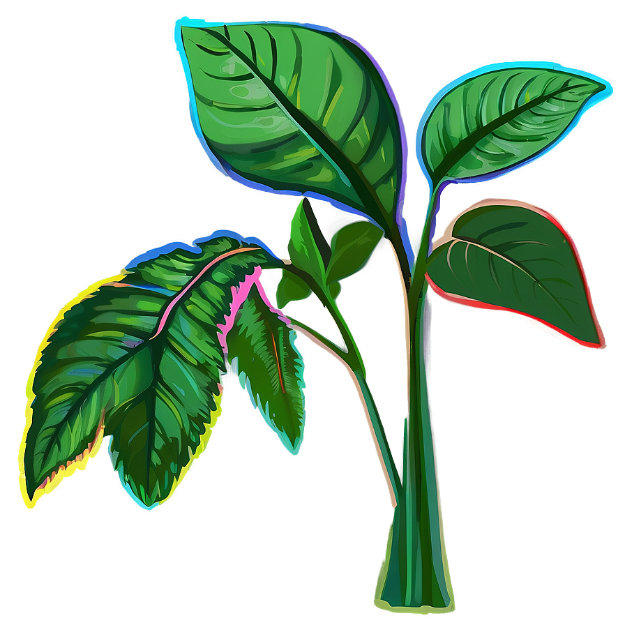 Plant Clipart B