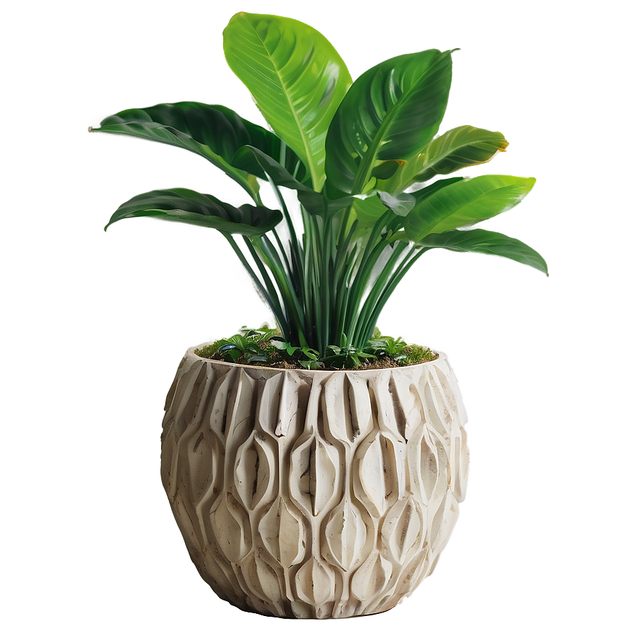 Plant-inspired Home Decor Png Dva28