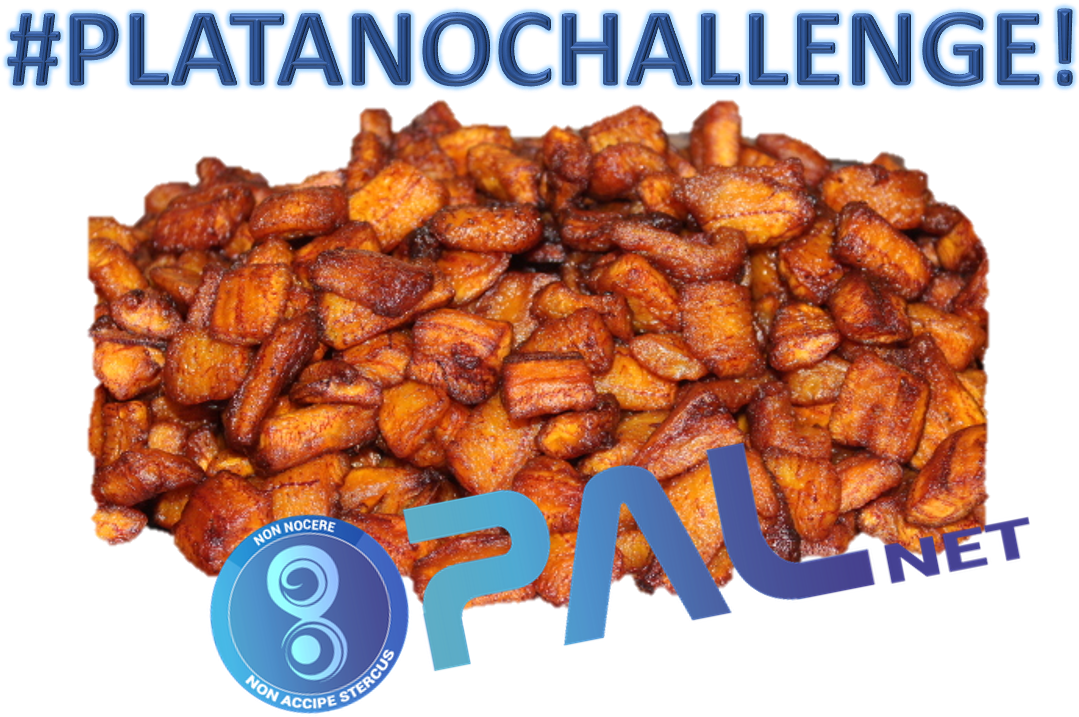 Platano Challenge Fried Plantains Pile