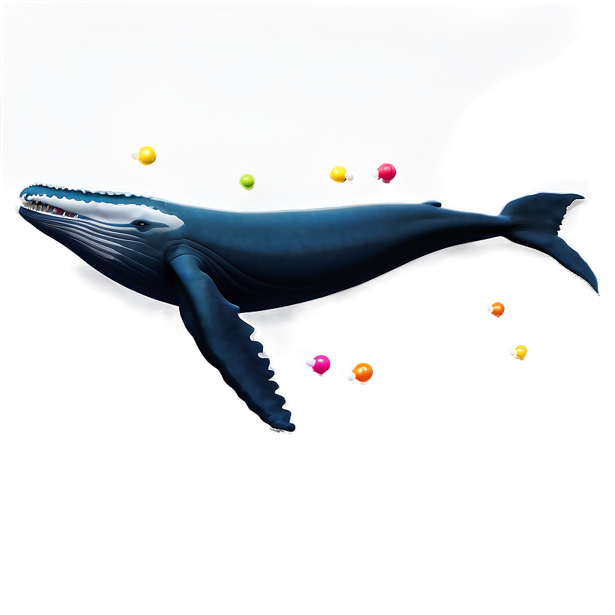 Playful Humpback Whale Png Rok