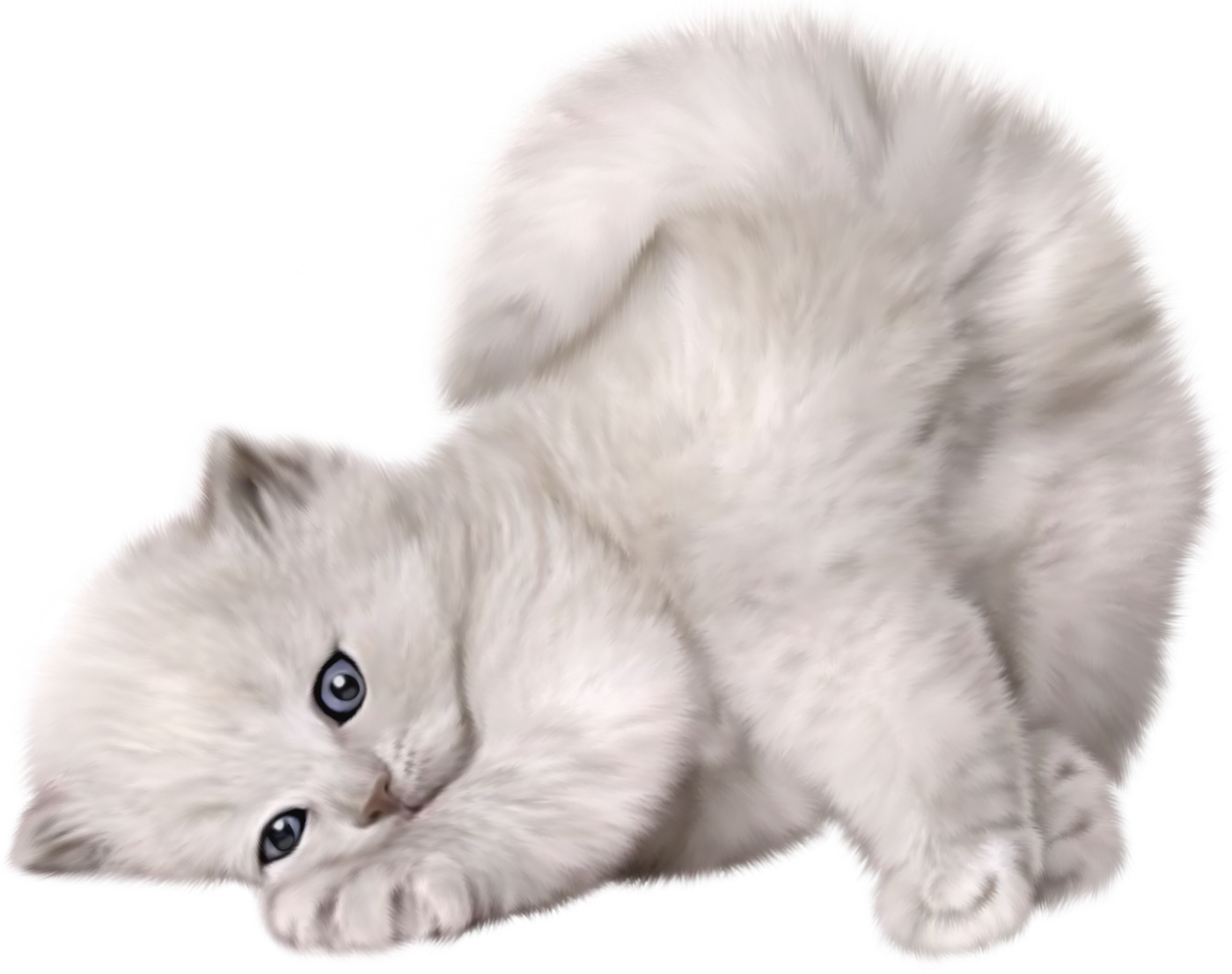 Playful White Kitten Lying Down