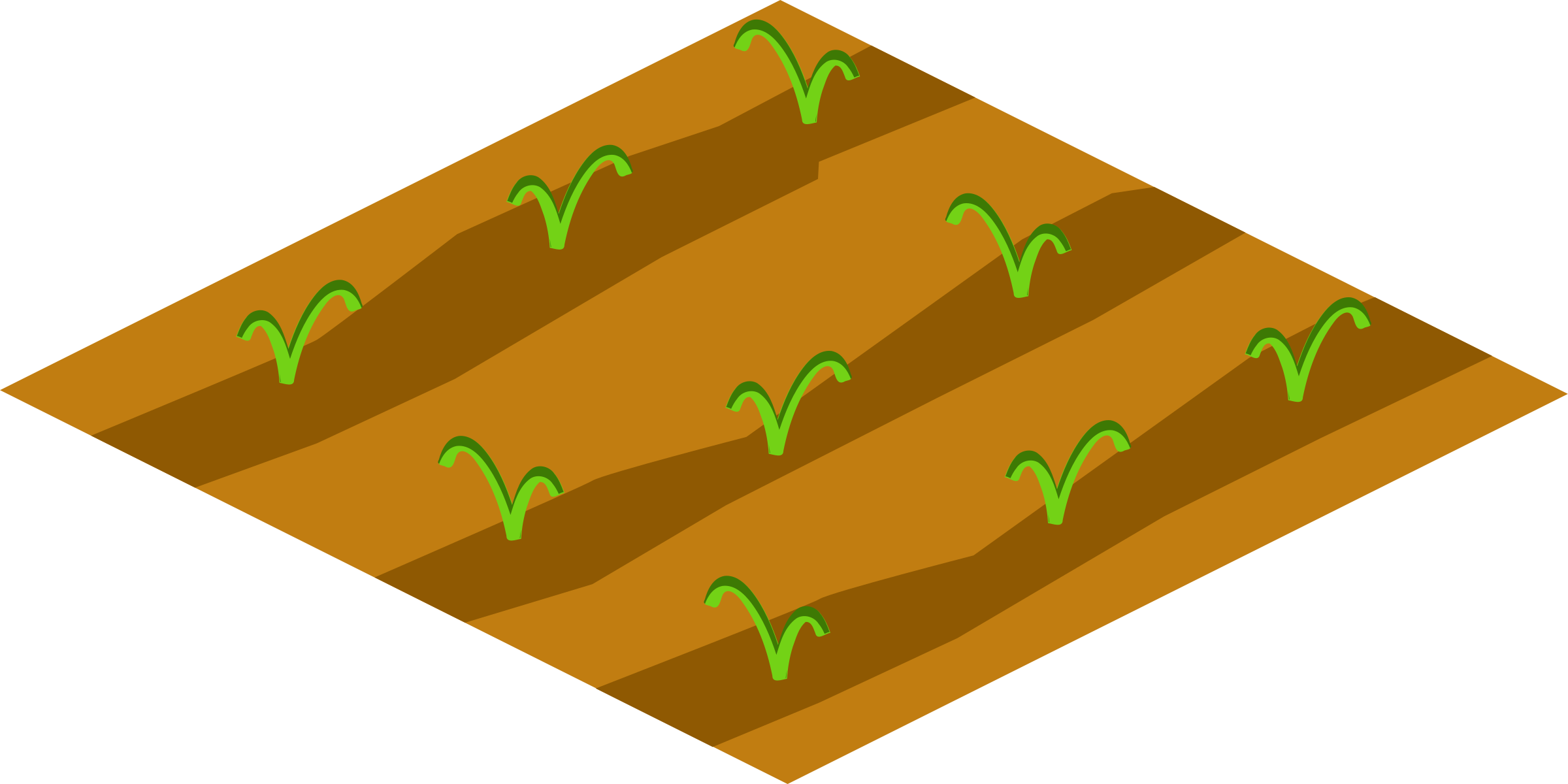 Plowed Fieldwith Sprouting Plants