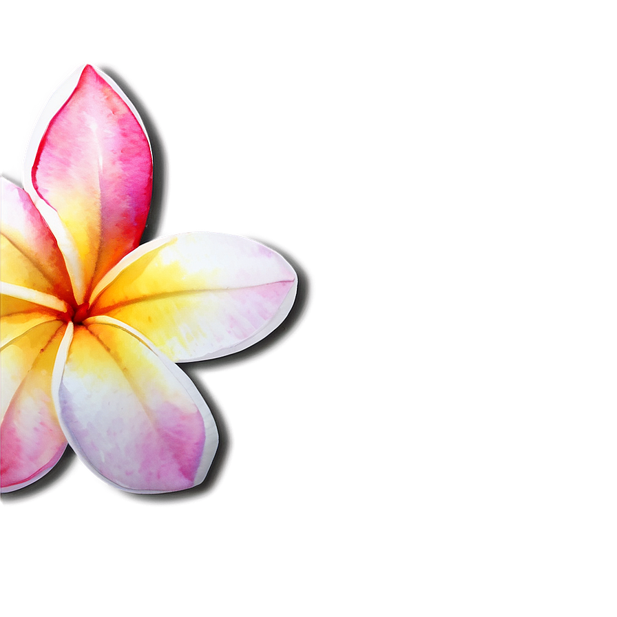 Plumeria Watercolor Png Xsw68