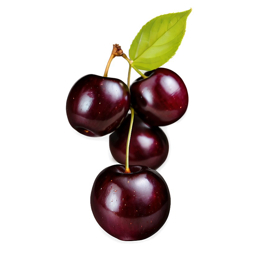 Plump Black Cherry Png Eln3