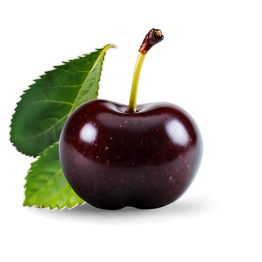 Plump Black Cherry Png Gkg