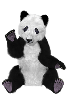 Plush Panda Toy Black Background