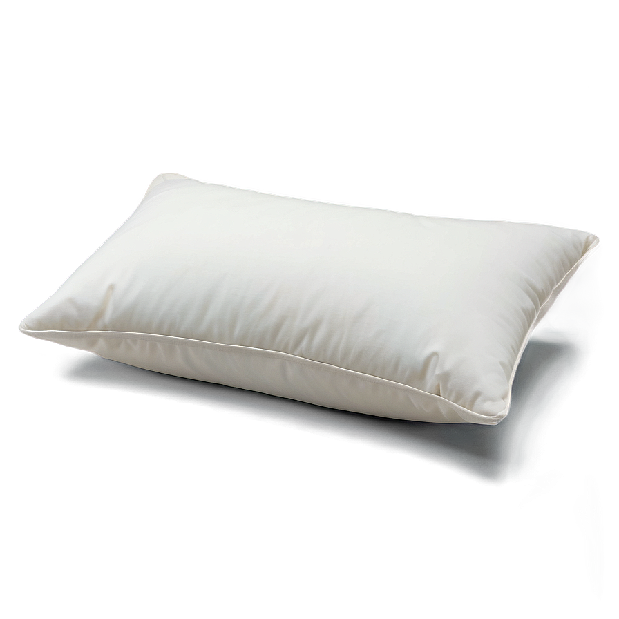 Plush Pillow Png 05252024