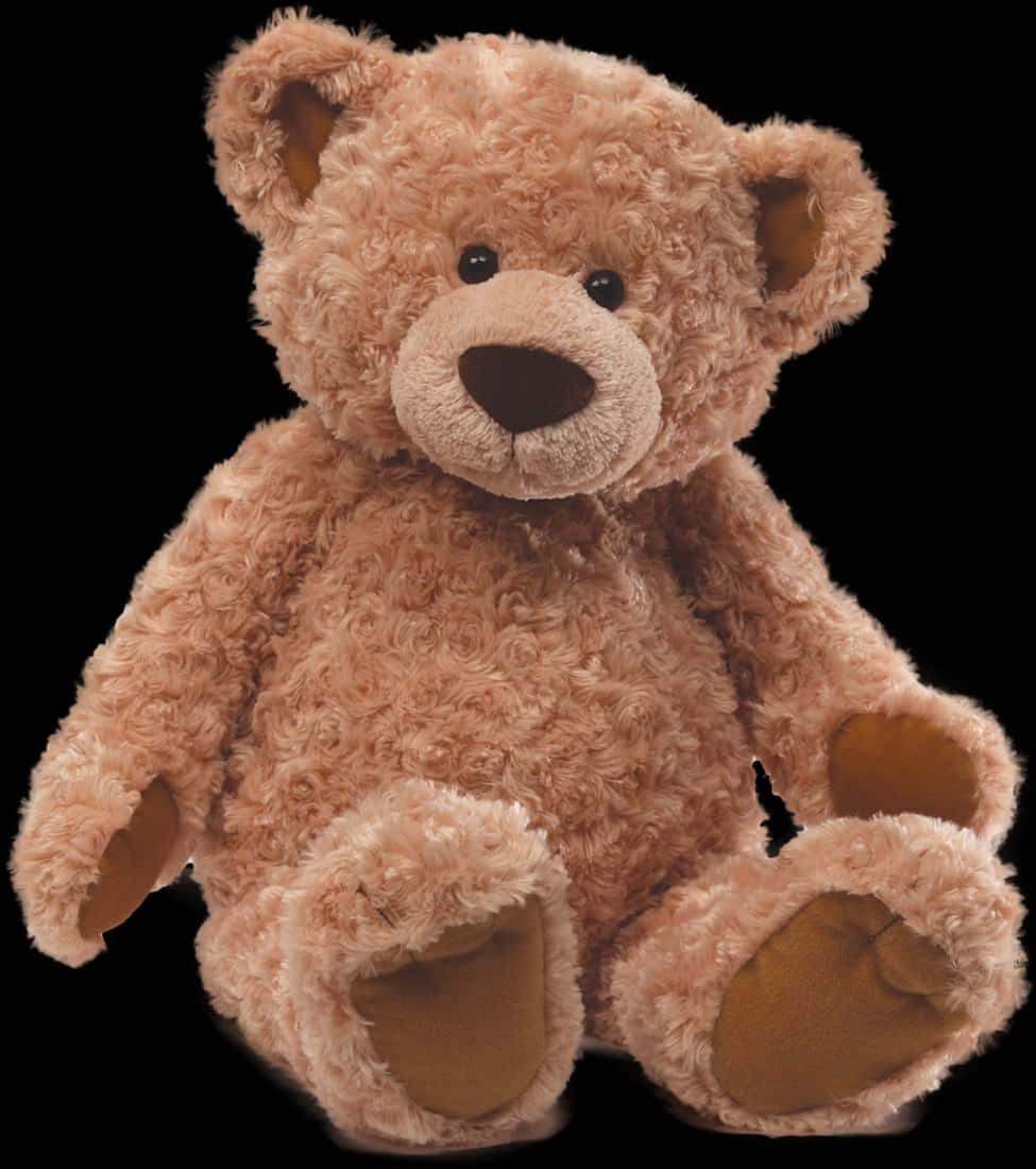 Plush Teddy Bear Toy