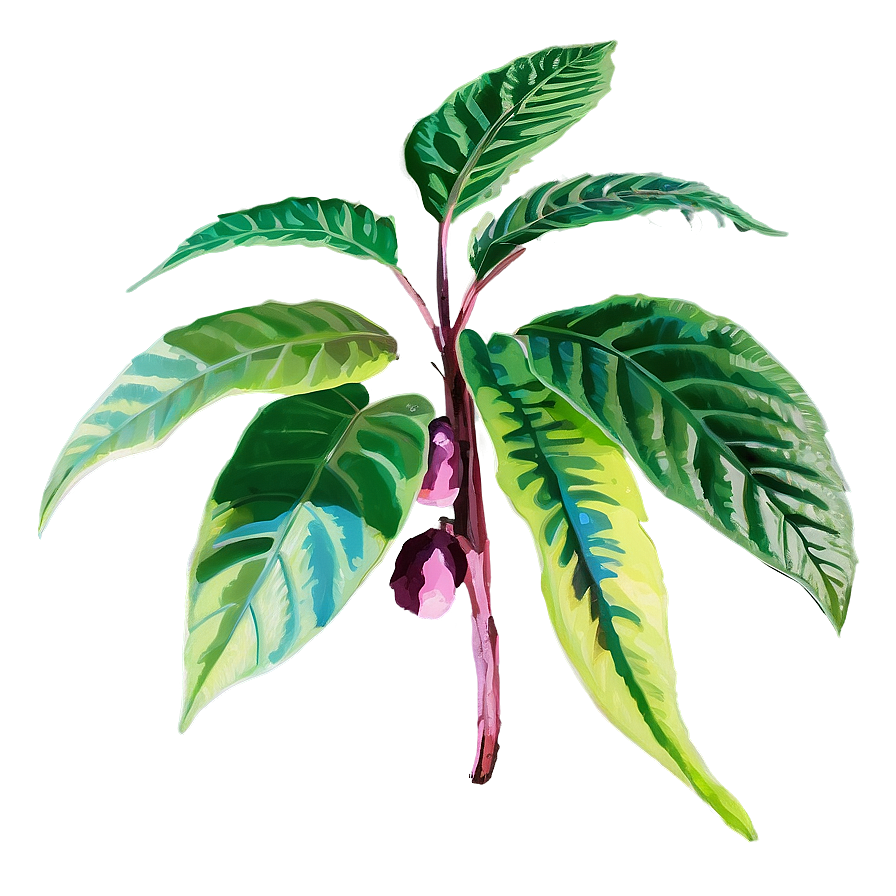 Poisonous Plants Png Ika