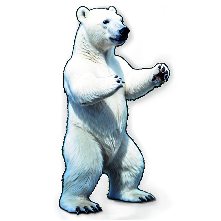 Polar Bear Standing Png Uhn