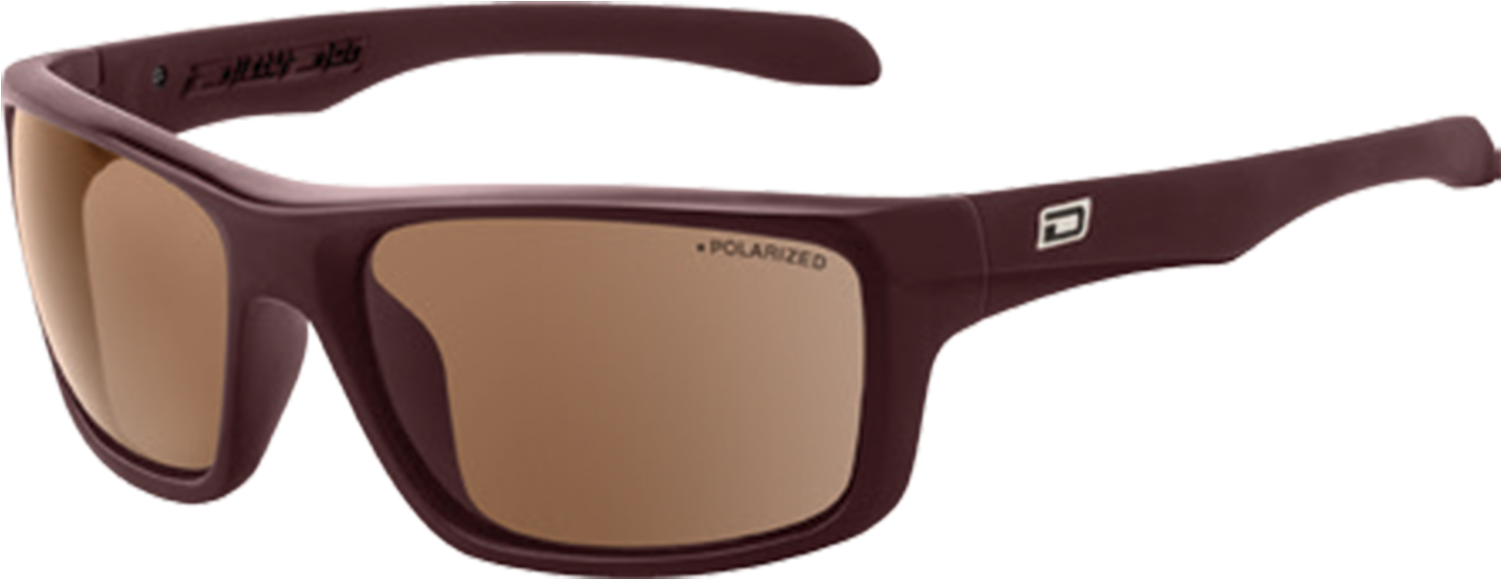 Polarized Sunglasses Brown Frame