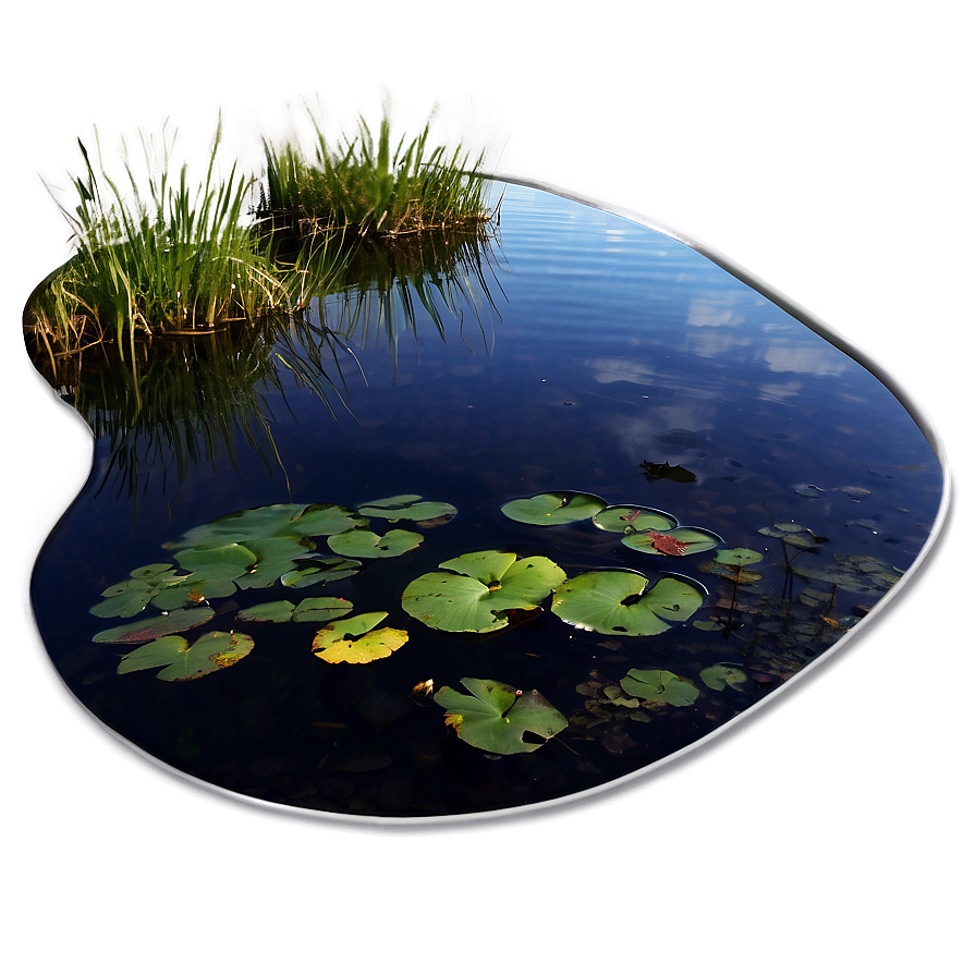 Pond Reflections Art Png Kwn