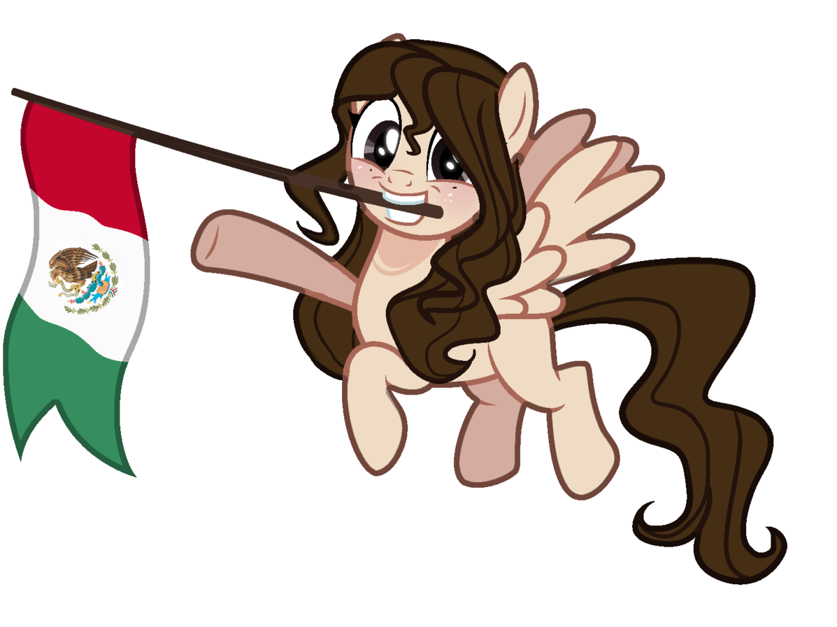 Ponywith Mexican Flag