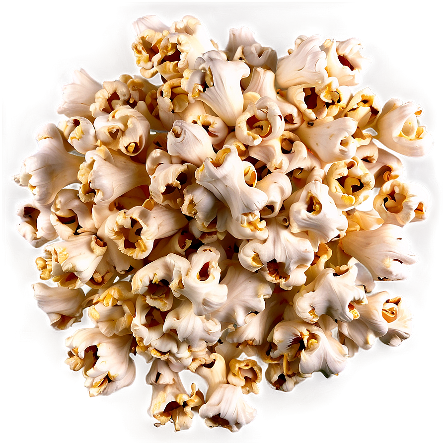 Popcorn Explosion Png 05042024