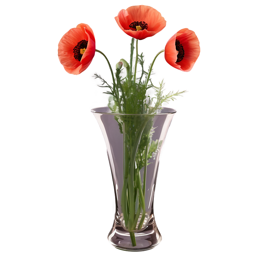 Poppies In Vase Png 06272024