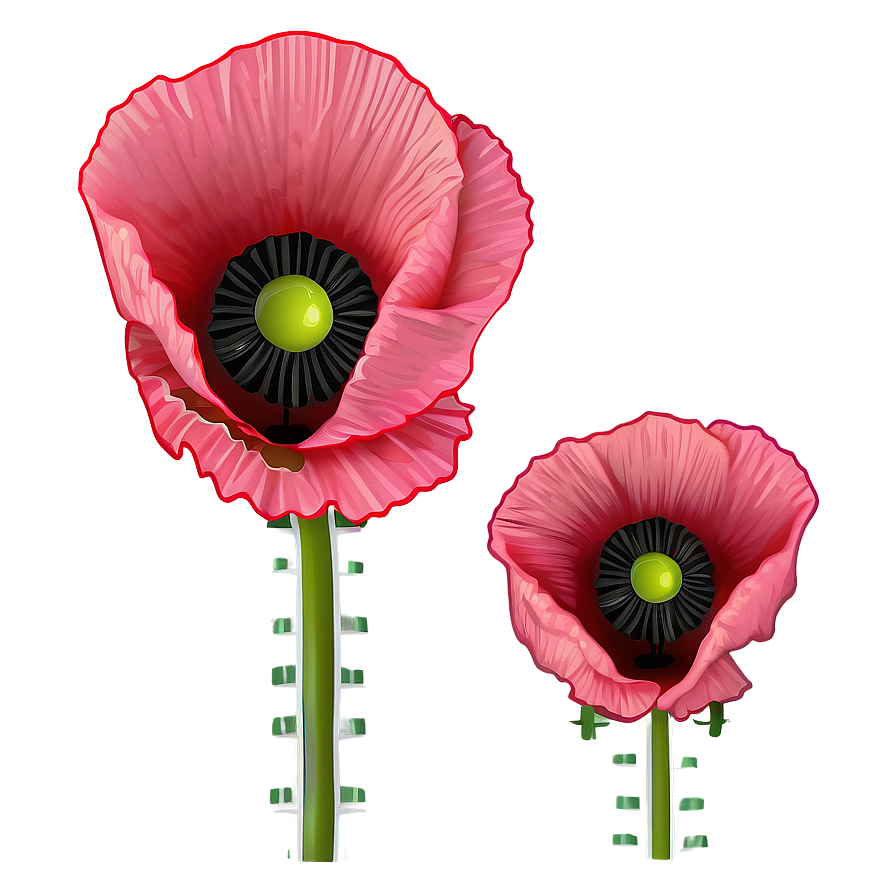 Poppy Flower Outline Png Kwa