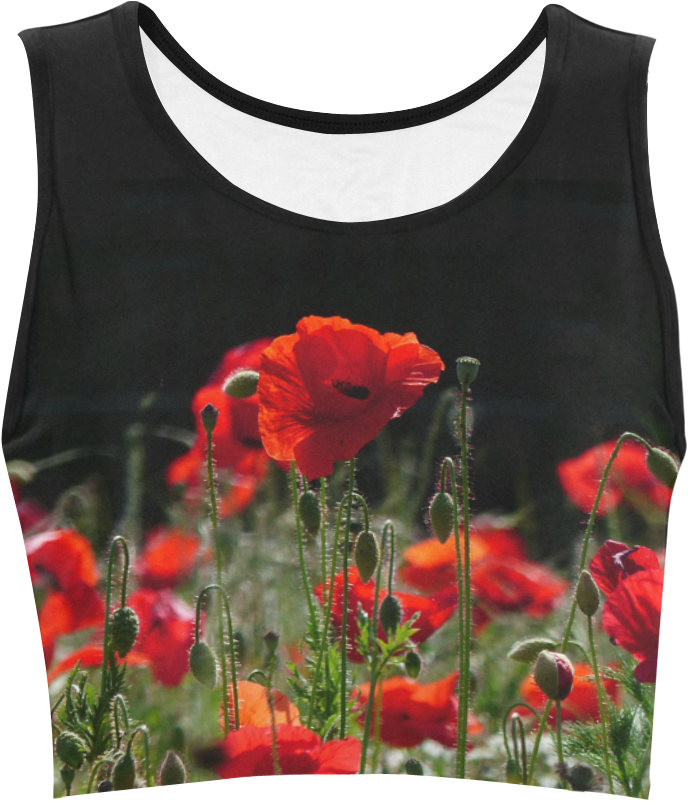 Poppy Print Crop Top