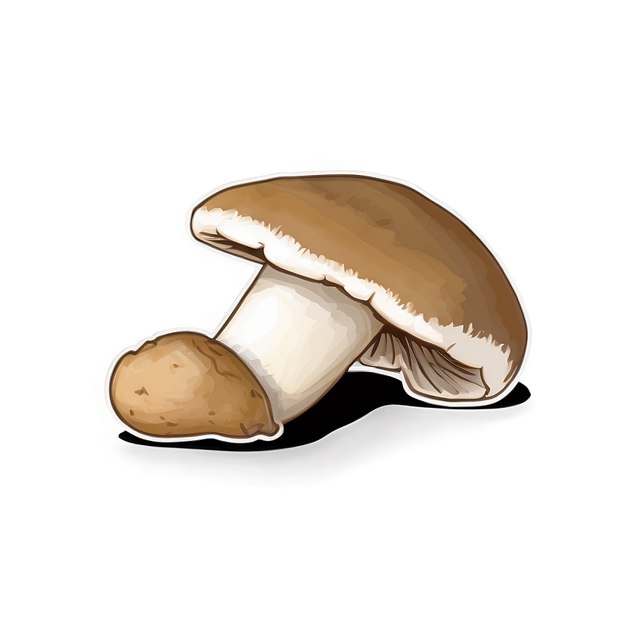 Porcini Mushrooms Png Cdi46