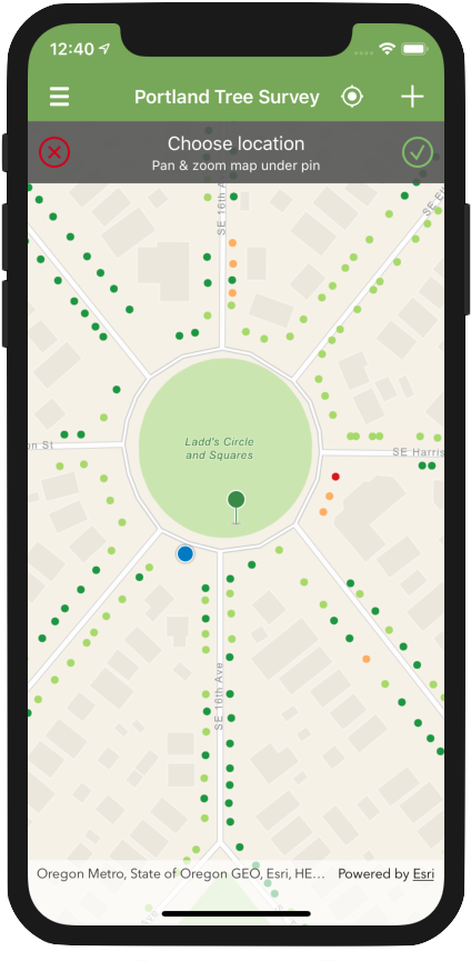 Portland Tree Survey App Screen