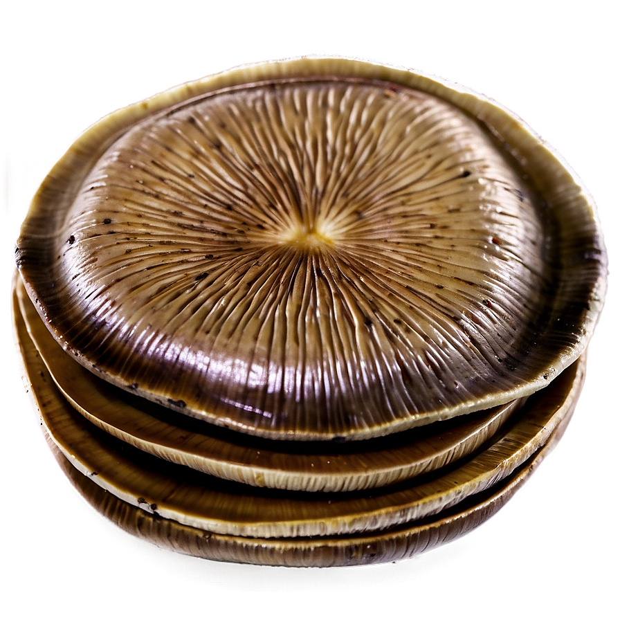 Portobello Mushrooms Png 05242024