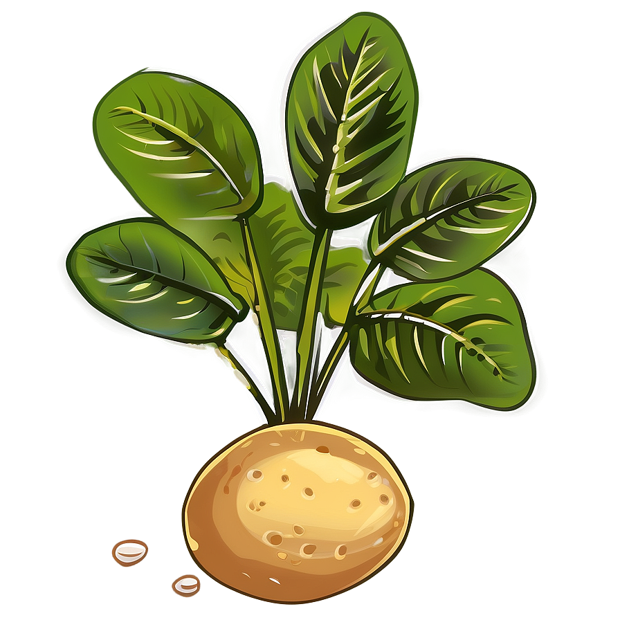 Potato Plant Clipart Png Jnn