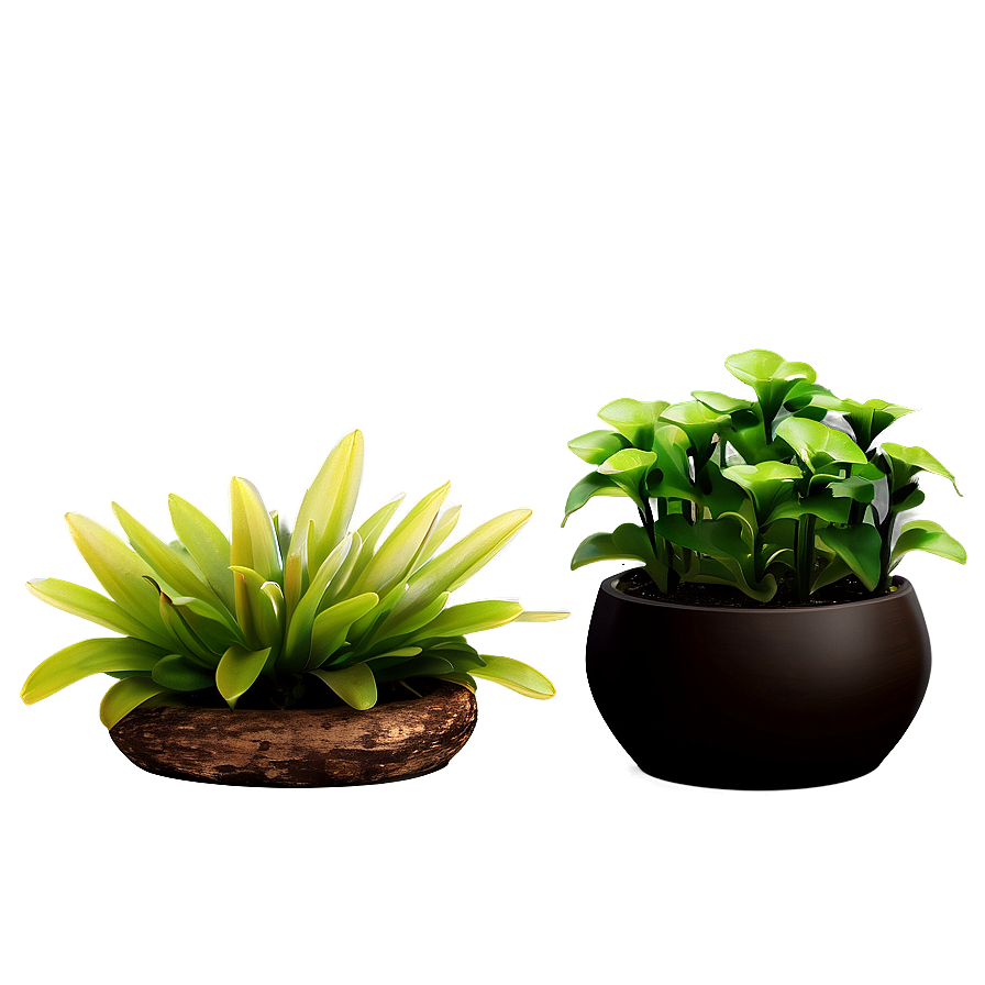 Potted Aquatic Plants Png 53