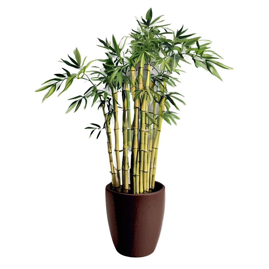 Potted Bamboo Plants Png 40