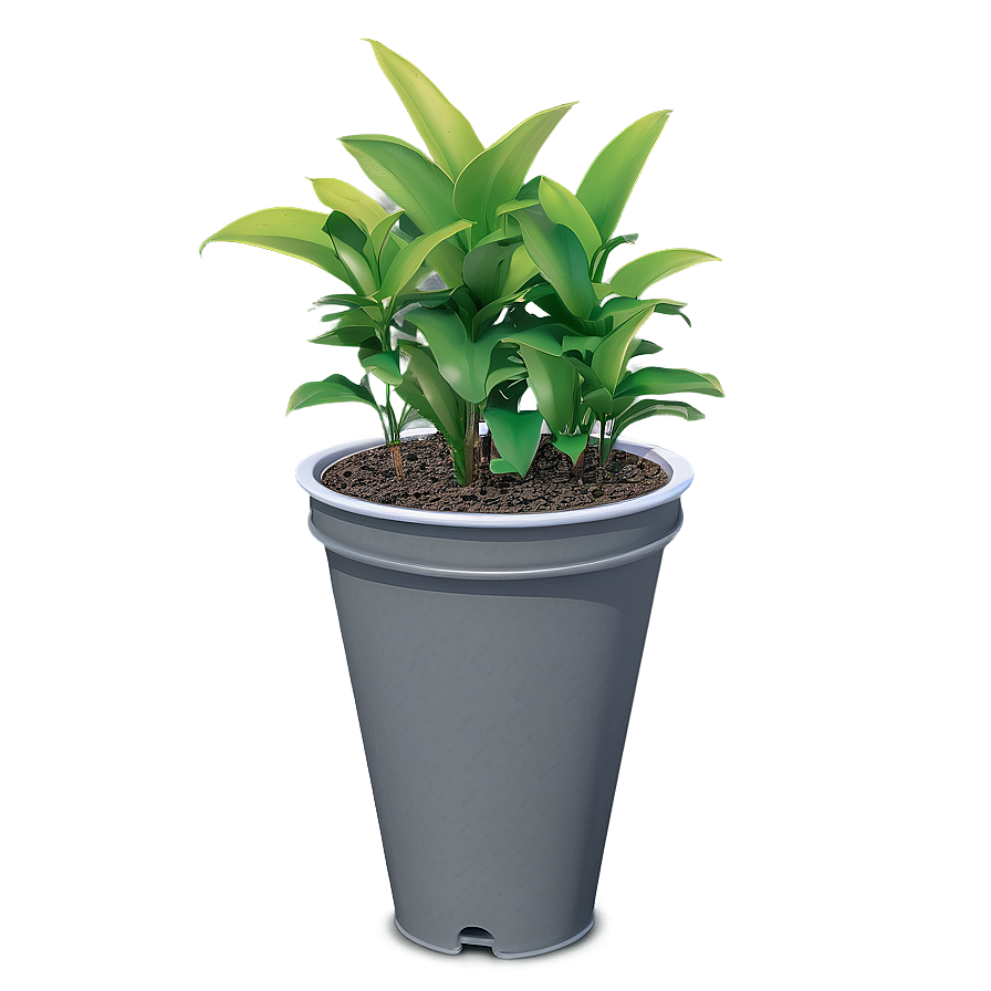 Potted Plant Drainage Solutions Png 31