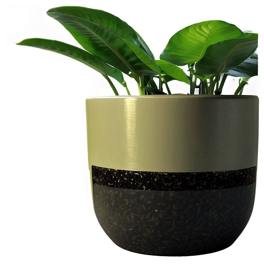 Potted Plant Fertilizers Png 06122024